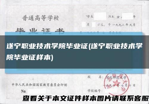 遂宁职业技术学院毕业证(遂宁职业技术学院毕业证样本)缩略图