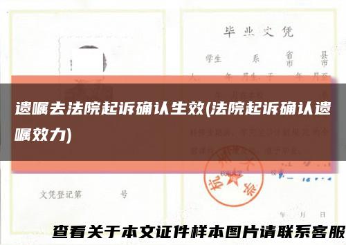 遗嘱去法院起诉确认生效(法院起诉确认遗嘱效力)缩略图