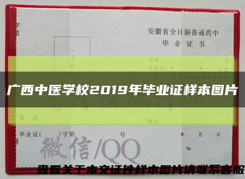 广西中医学校2019年毕业证样本图片缩略图