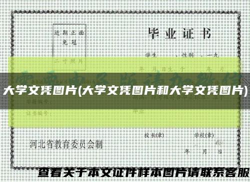大学文凭图片(大学文凭图片和大学文凭图片)缩略图