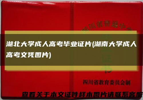 湖北大学成人高考毕业证片(湖南大学成人高考文凭图片)缩略图