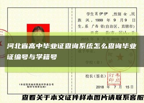 河北省高中毕业证查询系统怎么查询毕业证编号与学籍号缩略图