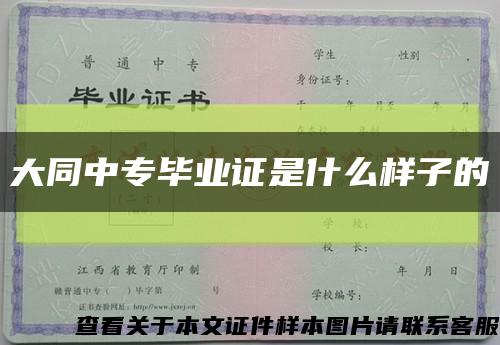 大同中专毕业证是什么样子的缩略图
