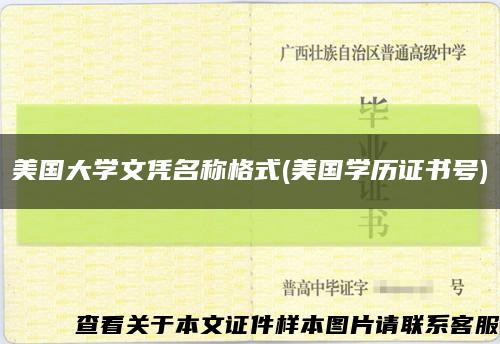 美国大学文凭名称格式(美国学历证书号)缩略图