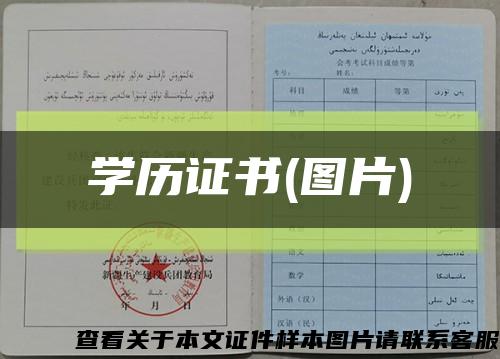 学历证书(图片)缩略图