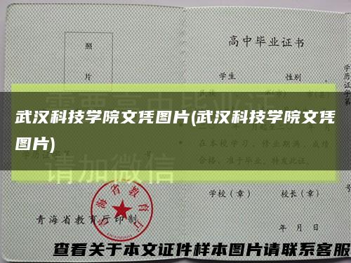 武汉科技学院文凭图片(武汉科技学院文凭图片)缩略图