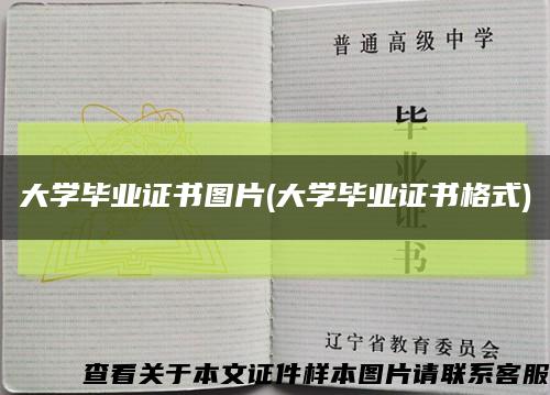 大学毕业证书图片(大学毕业证书格式)缩略图