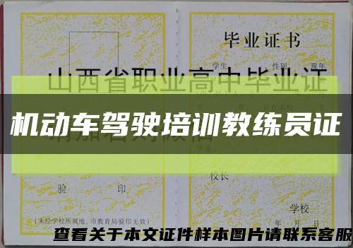机动车驾驶培训教练员证缩略图
