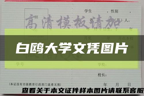 白鸥大学文凭图片缩略图