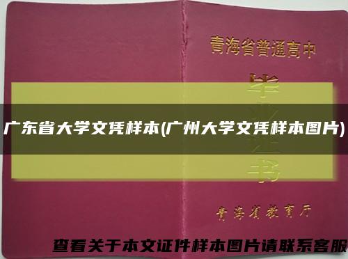 广东省大学文凭样本(广州大学文凭样本图片)缩略图
