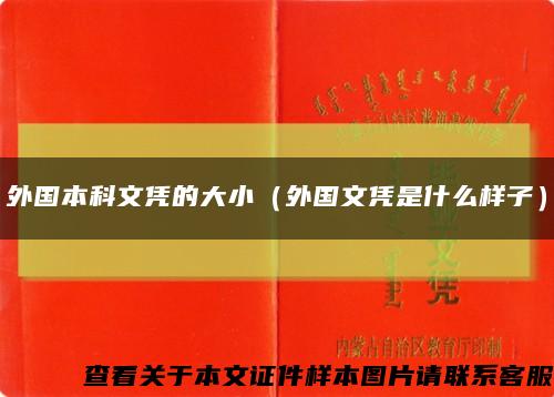 外国本科文凭的大小（外国文凭是什么样子）缩略图
