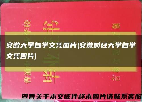 安徽大学自学文凭图片(安徽财经大学自学文凭图片)缩略图