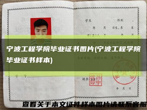 宁波工程学院毕业证书图片(宁波工程学院毕业证书样本)缩略图