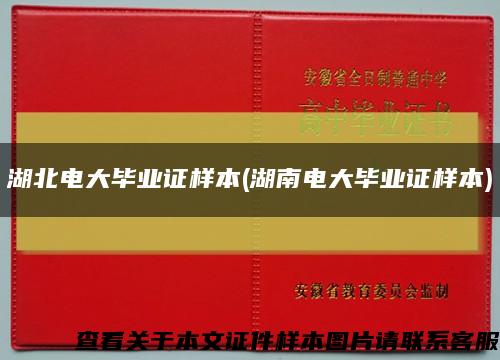 湖北电大毕业证样本(湖南电大毕业证样本)缩略图