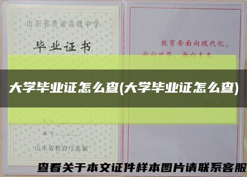大学毕业证怎么查(大学毕业证怎么查)缩略图