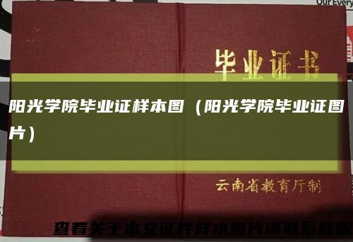 阳光学院毕业证样本图（阳光学院毕业证图片）缩略图