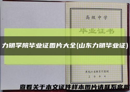 力明学院毕业证图片大全(山东力明毕业证)缩略图