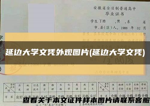 延边大学文凭外观图片(延边大学文凭)缩略图