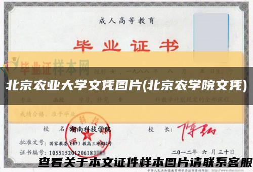 北京农业大学文凭图片(北京农学院文凭)缩略图