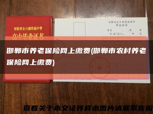 邯郸市养老保险网上缴费(邯郸市农村养老保险网上缴费)缩略图
