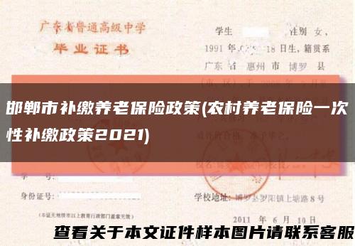 邯郸市补缴养老保险政策(农村养老保险一次性补缴政策2021)缩略图