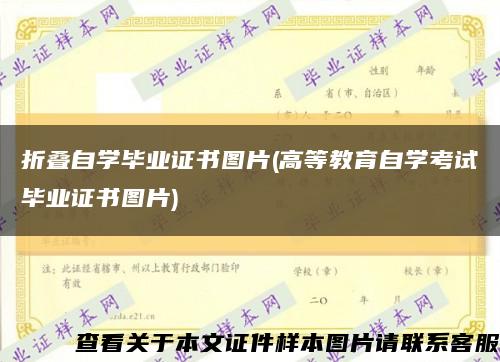 折叠自学毕业证书图片(高等教育自学考试毕业证书图片)缩略图