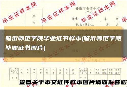 临沂师范学院毕业证书样本(临沂师范学院毕业证书图片)缩略图