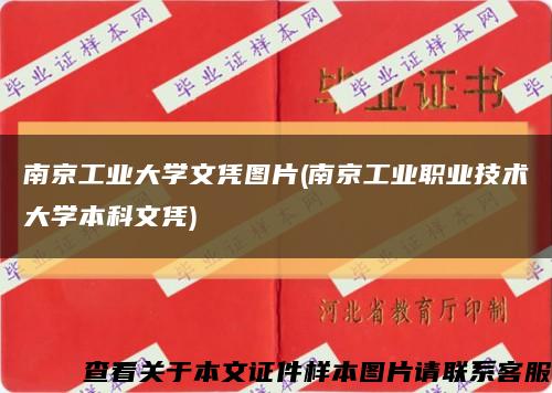 南京工业大学文凭图片(南京工业职业技术大学本科文凭)缩略图
