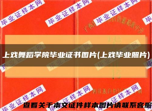 上戏舞蹈学院毕业证书图片(上戏毕业照片)缩略图