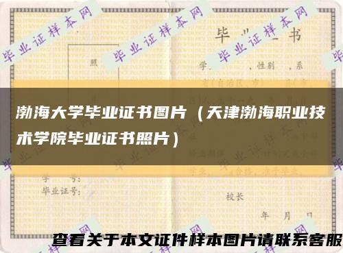 渤海大学毕业证书图片（天津渤海职业技术学院毕业证书照片）缩略图