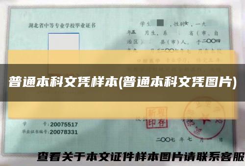 普通本科文凭样本(普通本科文凭图片)缩略图