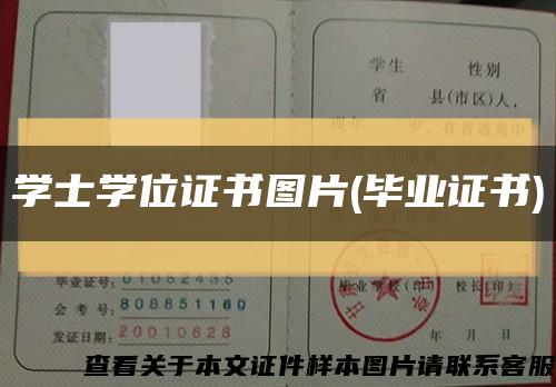 学士学位证书图片(毕业证书)缩略图