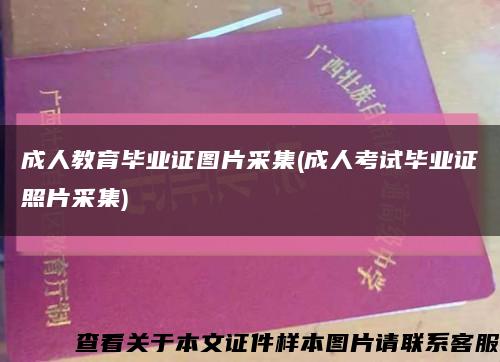 成人教育毕业证图片采集(成人考试毕业证照片采集)缩略图