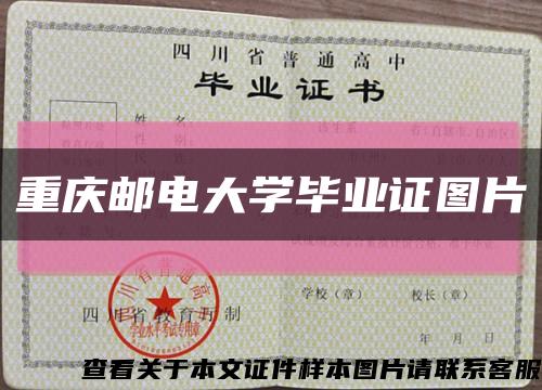 重庆邮电大学毕业证图片缩略图