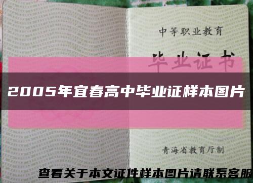 2005年宜春高中毕业证样本图片缩略图