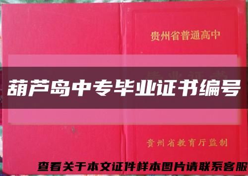 葫芦岛中专毕业证书编号缩略图