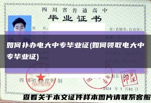 如何补办电大中专毕业证(如何领取电大中专毕业证)缩略图