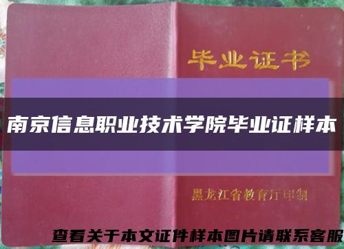南京信息职业技术学院毕业证样本缩略图