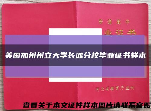 美国加州州立大学长滩分校毕业证书样本缩略图