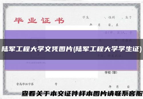 陆军工程大学文凭图片(陆军工程大学学生证)缩略图