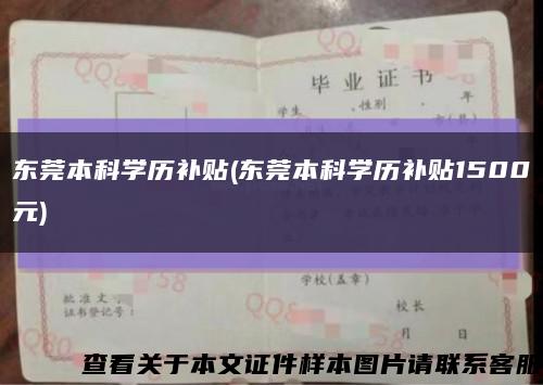 东莞本科学历补贴(东莞本科学历补贴1500元)缩略图