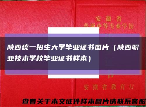 陕西统一招生大学毕业证书图片（陕西职业技术学校毕业证书样本）缩略图
