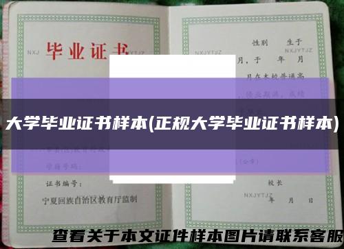 大学毕业证书样本(正规大学毕业证书样本)缩略图