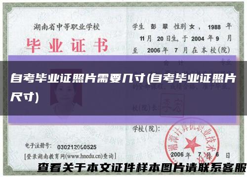 自考毕业证照片需要几寸(自考毕业证照片尺寸)缩略图