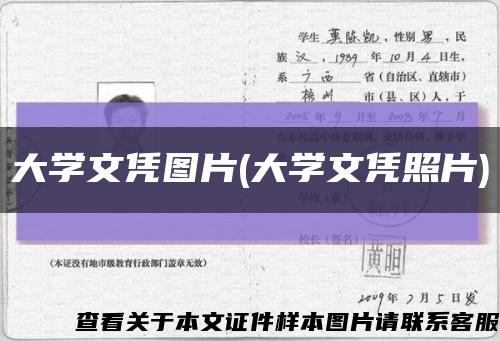 大学文凭图片(大学文凭照片)缩略图