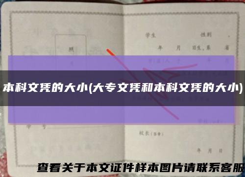 本科文凭的大小(大专文凭和本科文凭的大小)缩略图