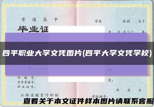 四平职业大学文凭图片(四平大学文凭学校)缩略图