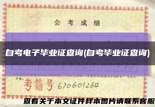自考电子毕业证查询(自考毕业证查询)缩略图