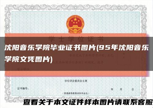 沈阳音乐学院毕业证书图片(95年沈阳音乐学院文凭图片)缩略图