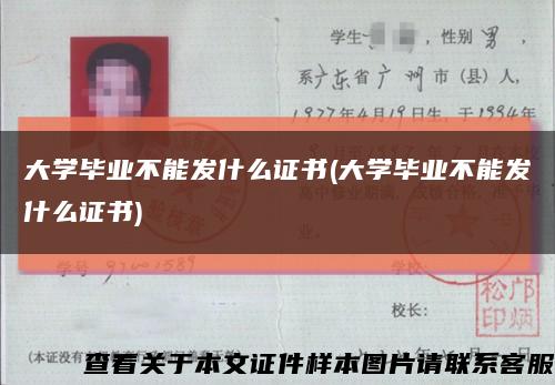 大学毕业不能发什么证书(大学毕业不能发什么证书)缩略图